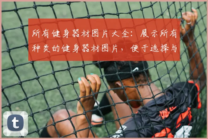 所有健身器材图片大全：展示所有种类的健身器材图片，便于选择与购买